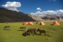 Zanskar 09 3 186